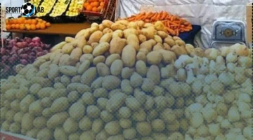 أسعار الخضار والفواكه في المنوفية اليوم الجمعة 5-9-2025 مباشرٌ وآخر التحديثات